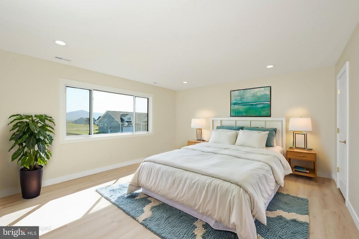 10233 Dalmatian Dr photo 17