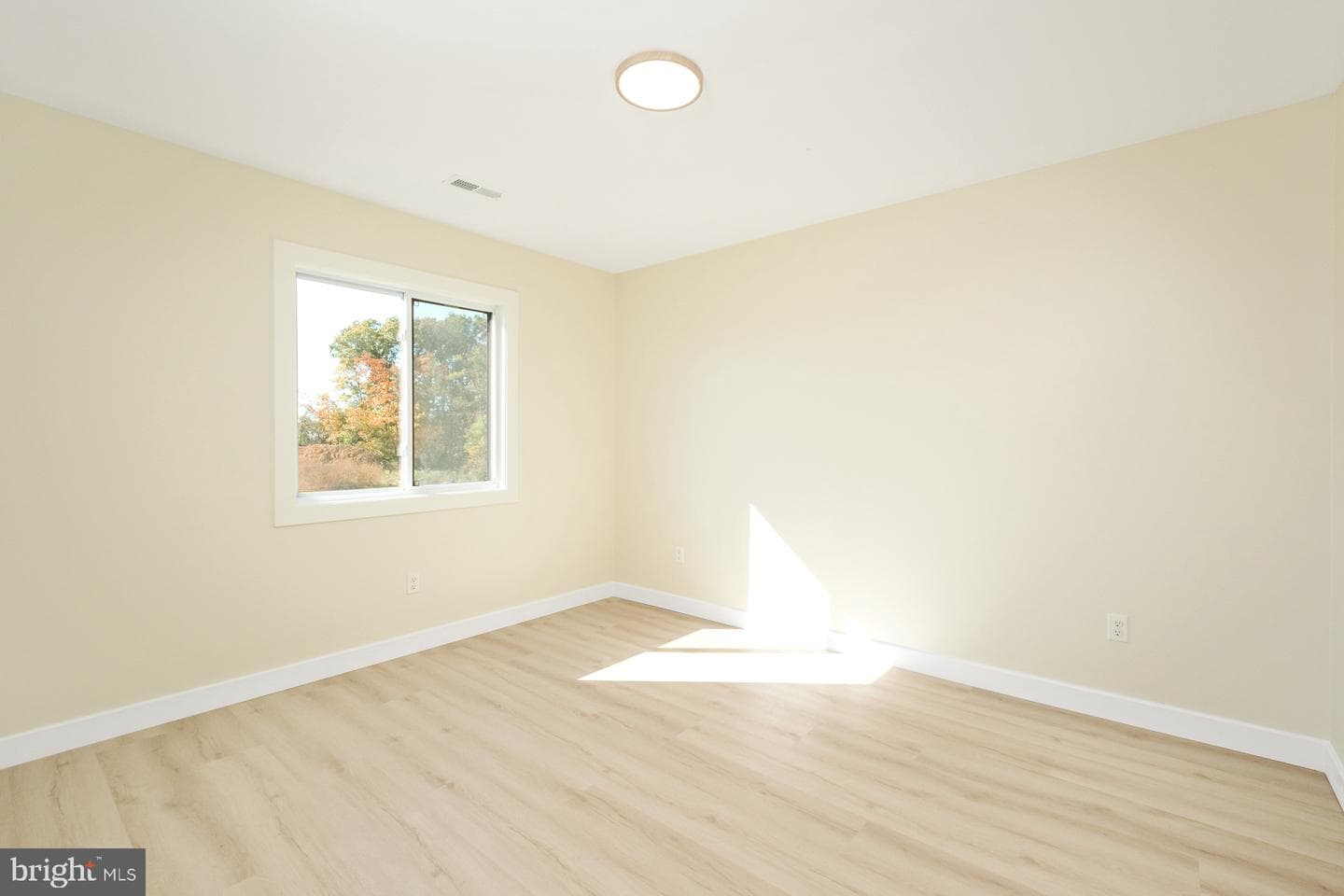10233 Dalmatian Dr photo 28