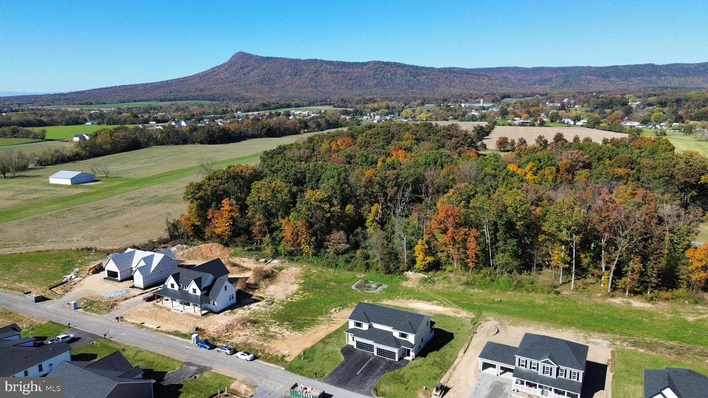 10233 Dalmatian Dr photo 35