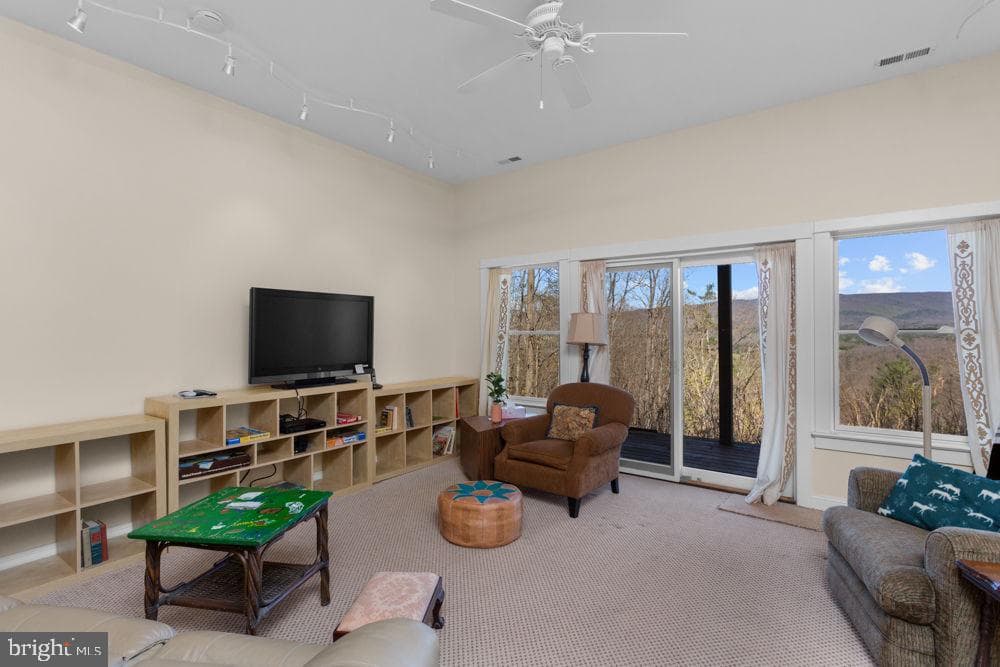 9586 Brunk Spring Lane photo 37