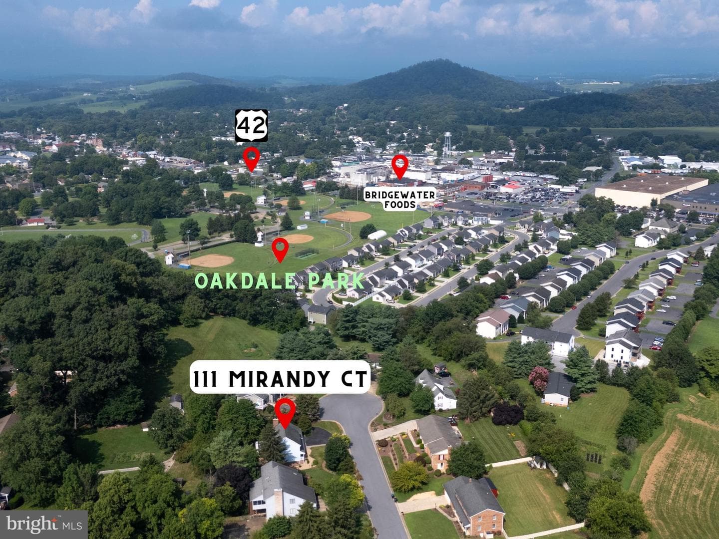 111 Mirandy Court photo 3