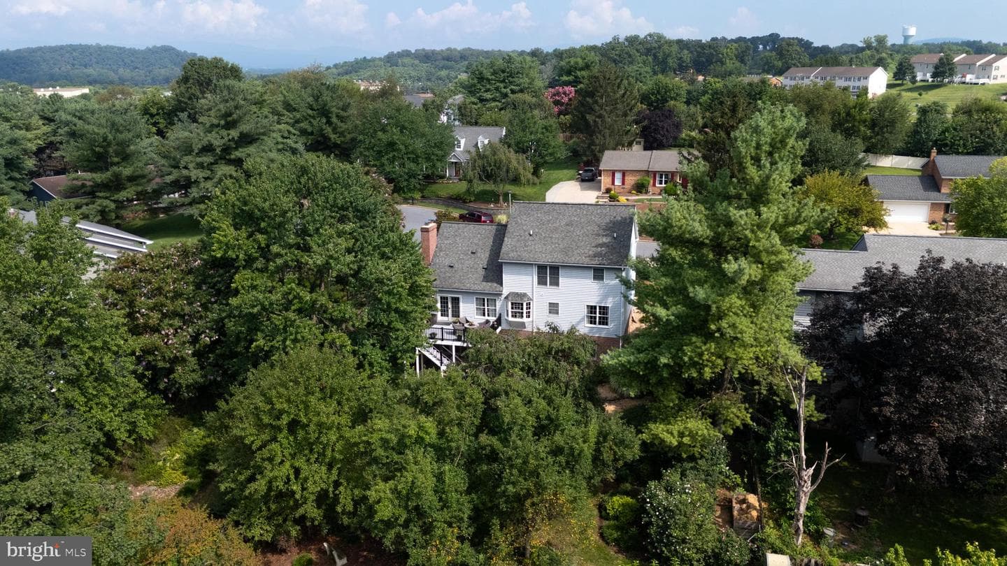 111 Mirandy Court photo 52