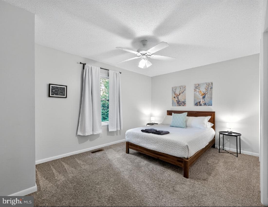 174 Boone Ct Court photo 23