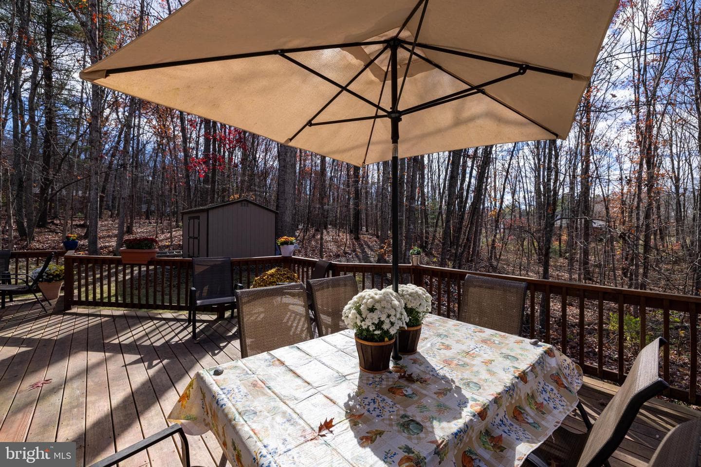 2050 Stony Creek Drive photo 76