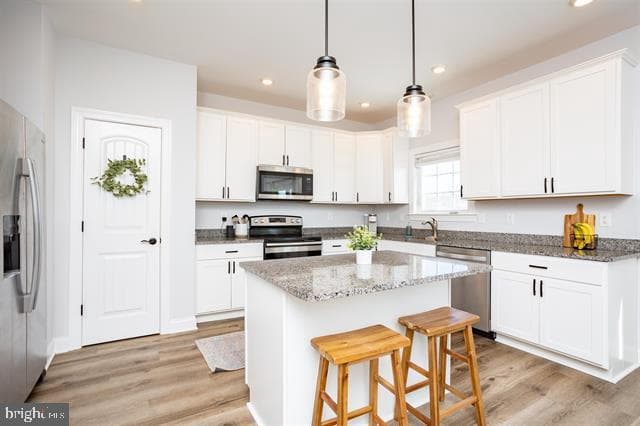 1091 Bluemoon Drive photo 8