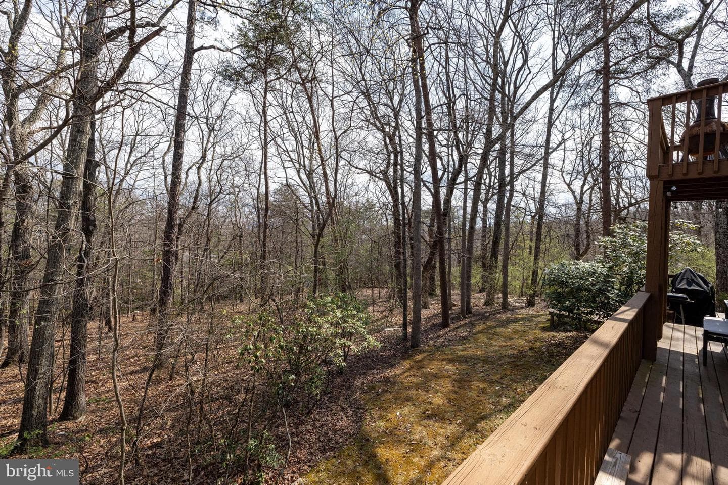 3229 Hopkins Drive photo 87