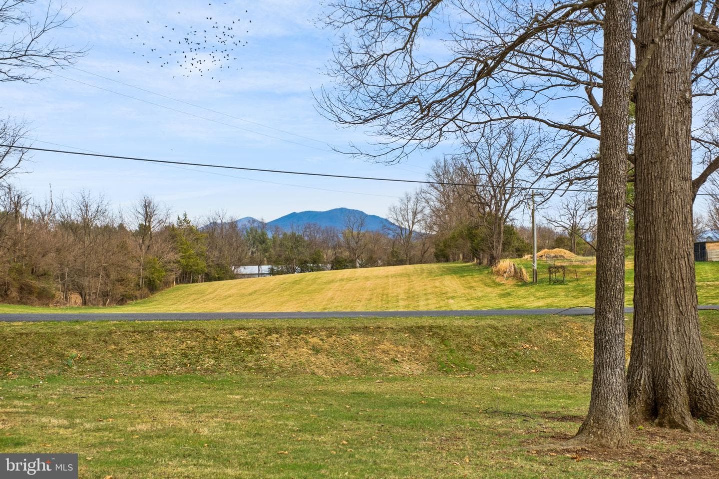 5640 Scotts Ford Road photo 18