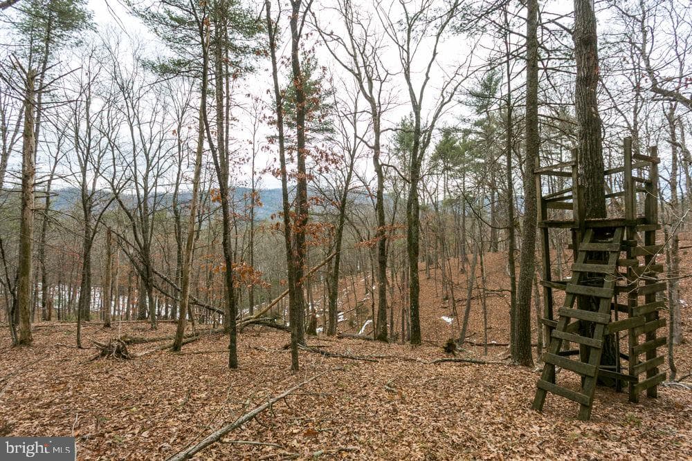 19962 Rainbow Ridge Road photo 38