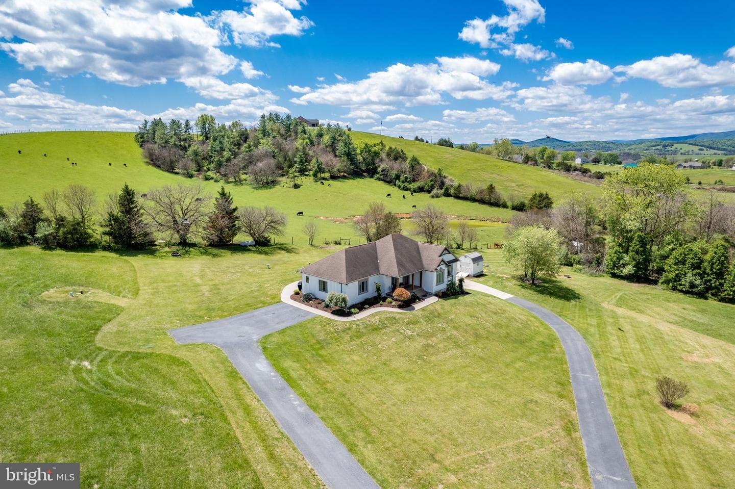 10005 Bonny Brae Lane photo 4