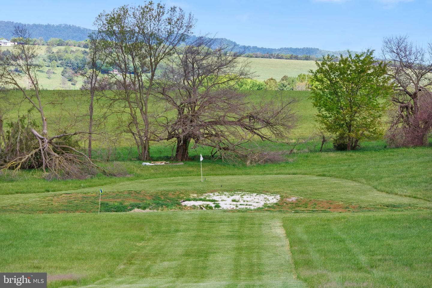 10005 Bonny Brae Lane photo 64