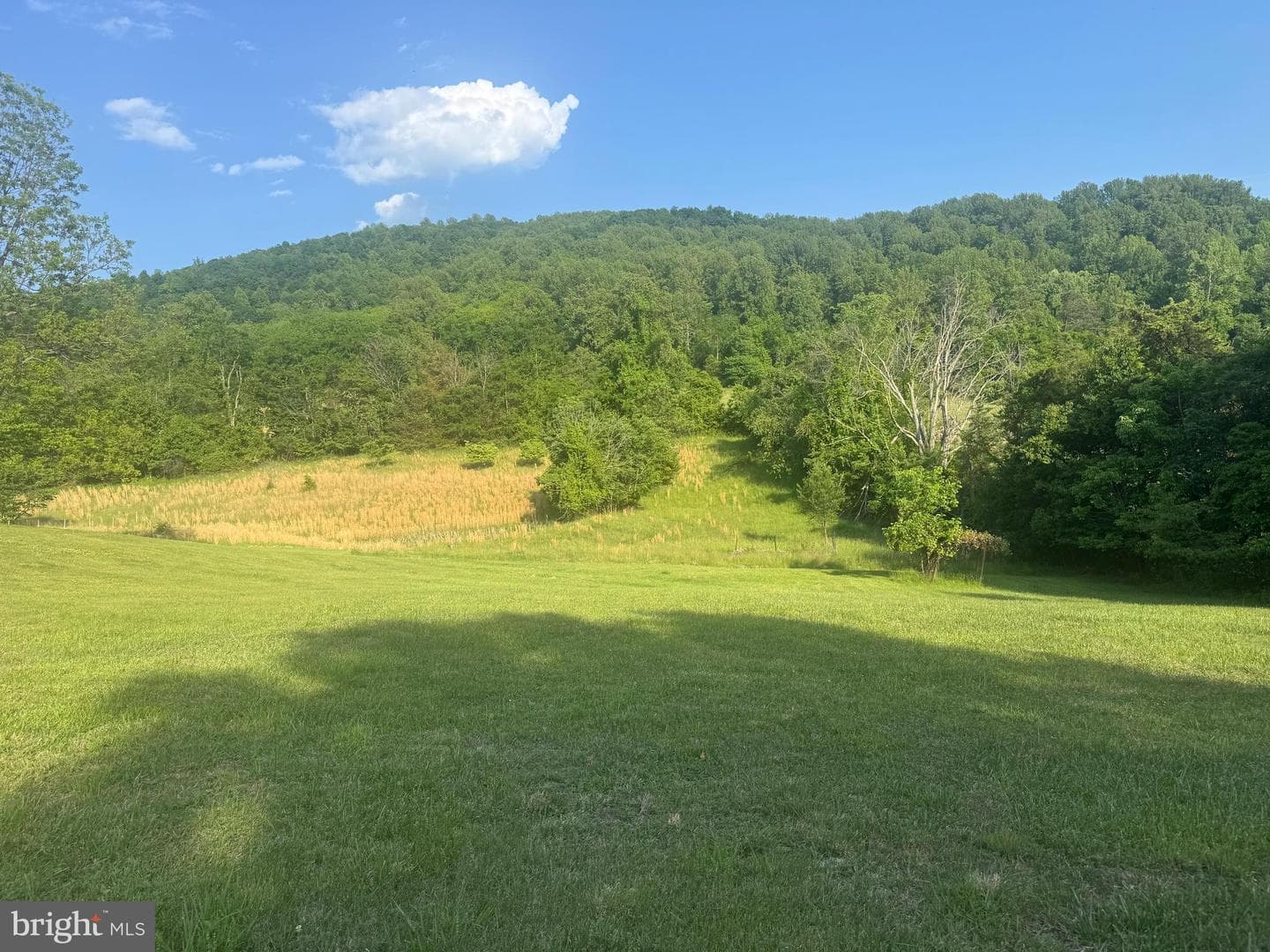 20448 Mount Pleasant Road, Elkton