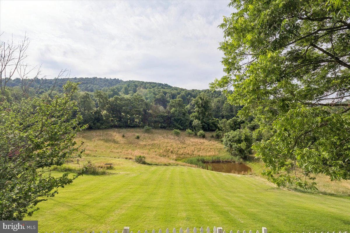 20448 Mount Pleasant Road photo 44