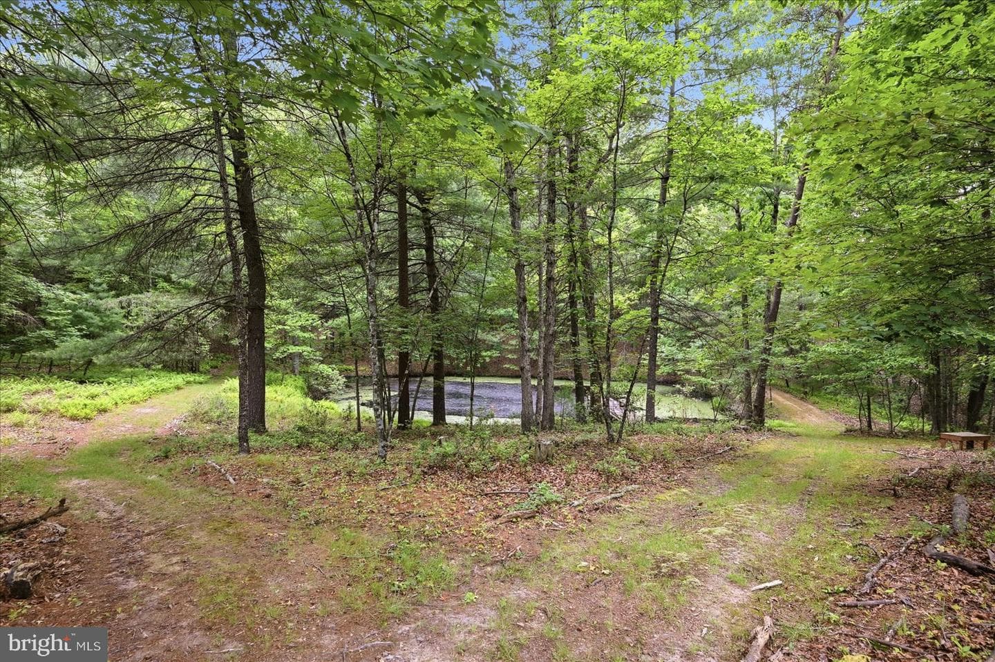 14636 Turner Road photo 66