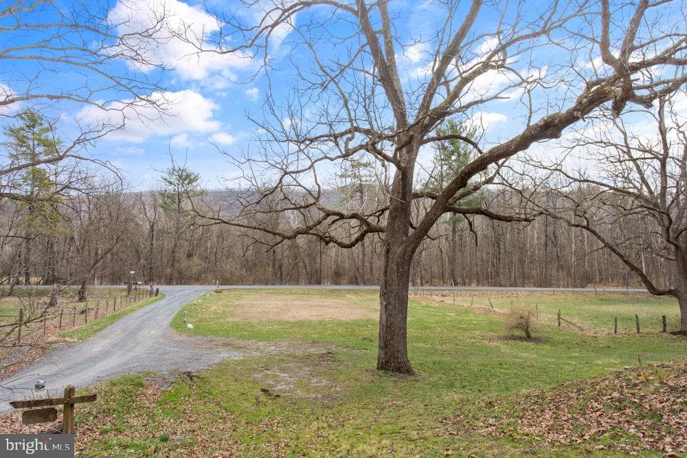 12111 Sleepy Hollow Lane photo 16