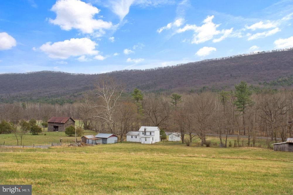 12111 Sleepy Hollow Lane photo 22