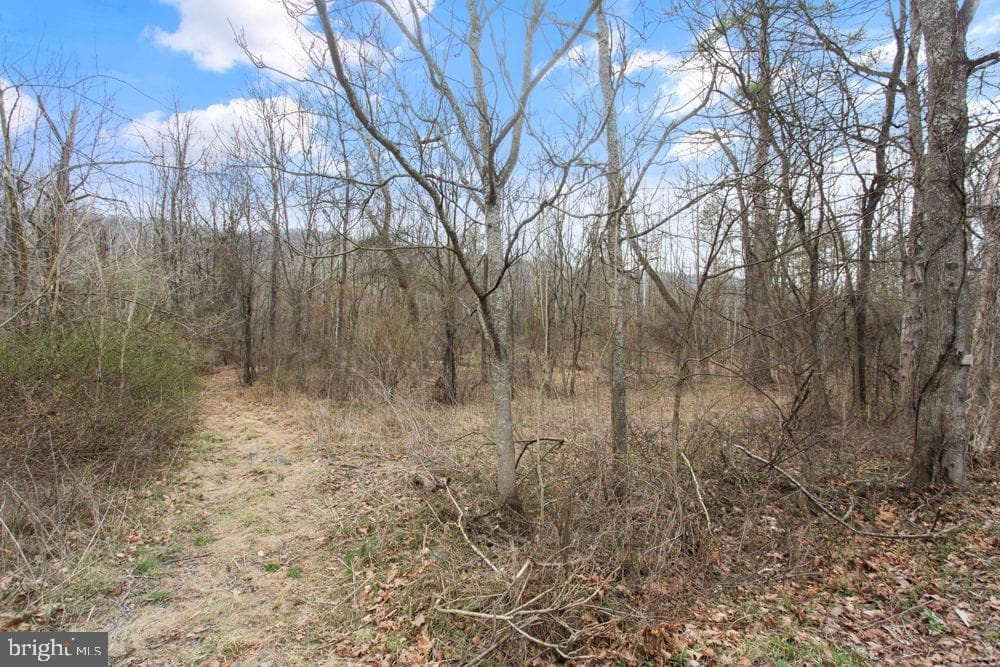 12111 Sleepy Hollow Lane photo 25
