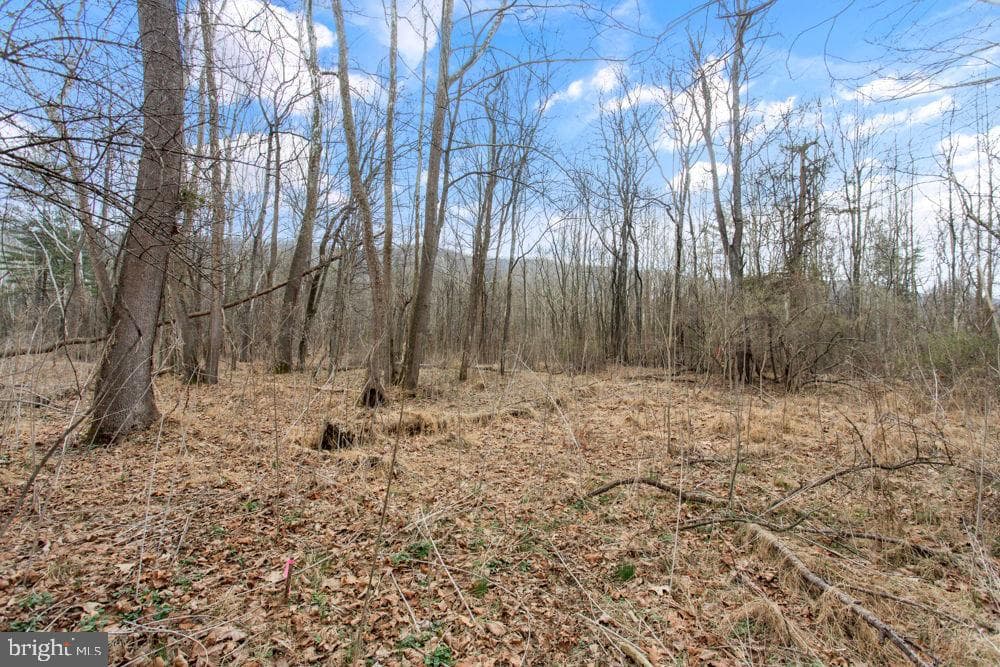12111 Sleepy Hollow Lane photo 31