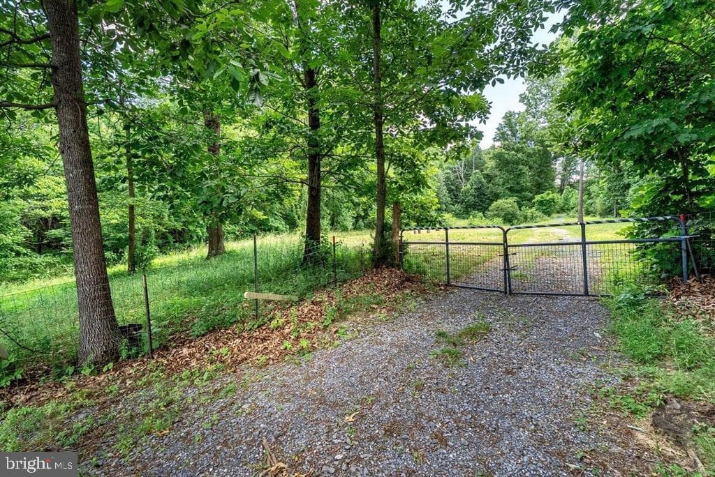 8905 Shade Tree Lane photo 68