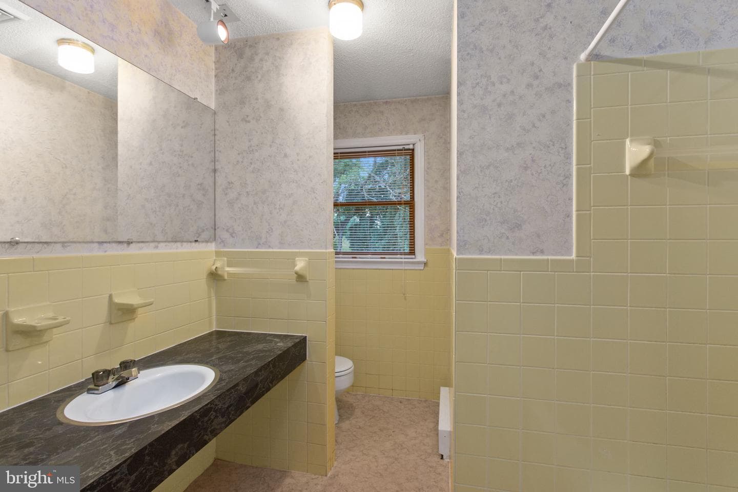 206 Belmont photo 16