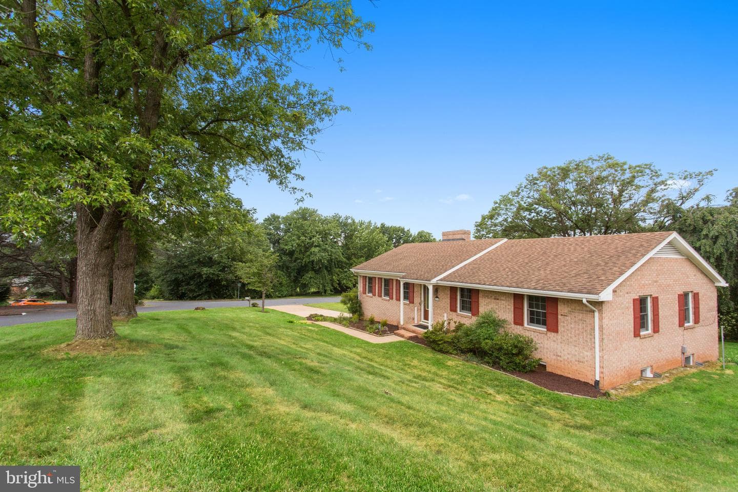 206 Belmont photo 26