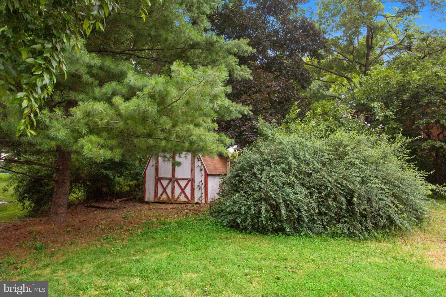 206 Belmont photo 30