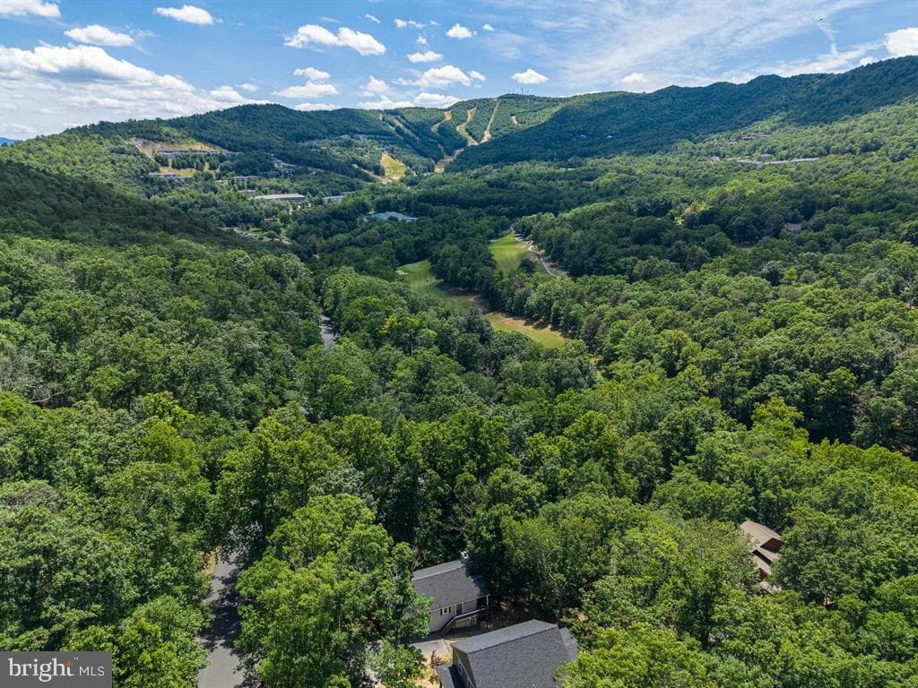 4241 Palmer Road photo 5