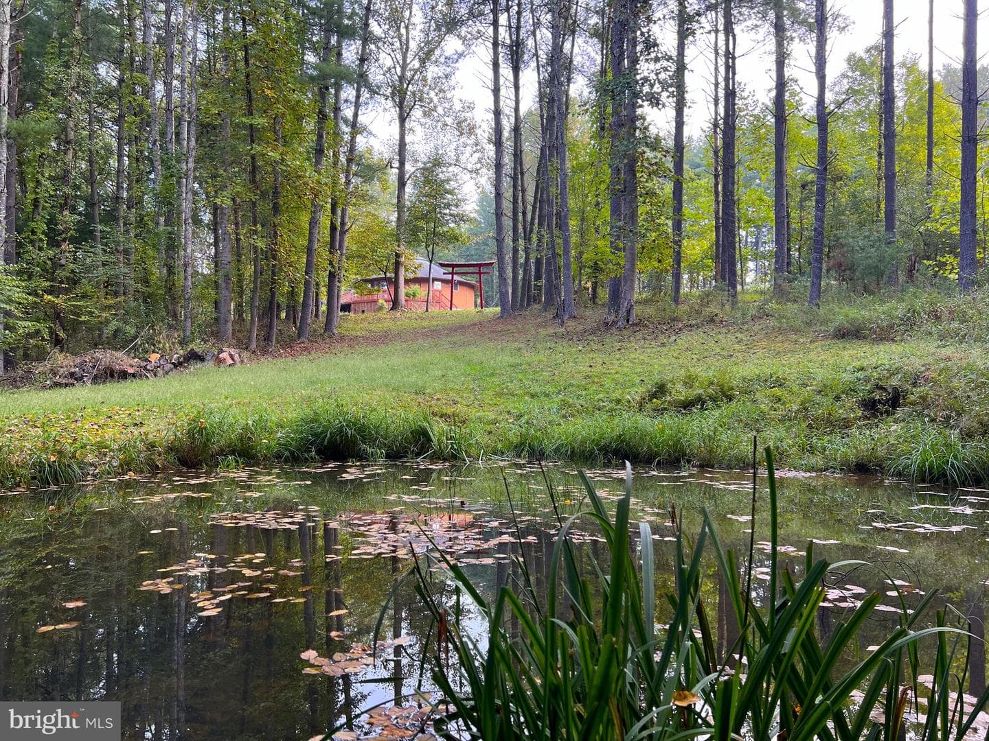 243 Aaron Mountain Road photo 4