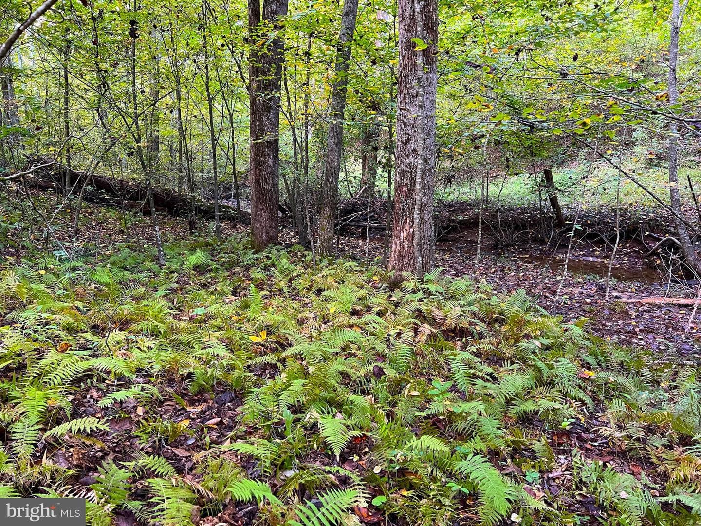 243 Aaron Mountain Road photo 49