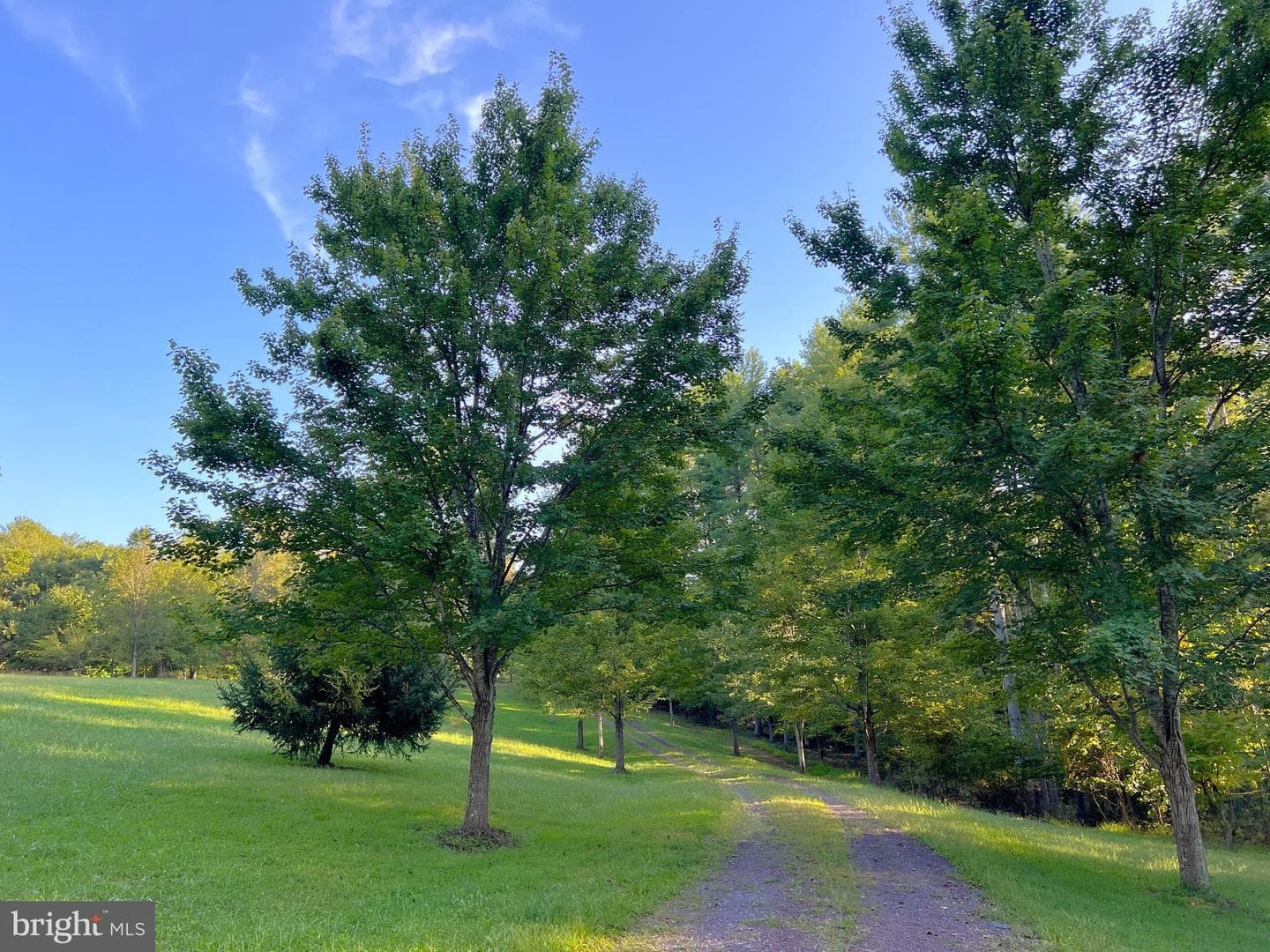 243 Aaron Mountain Road photo 8