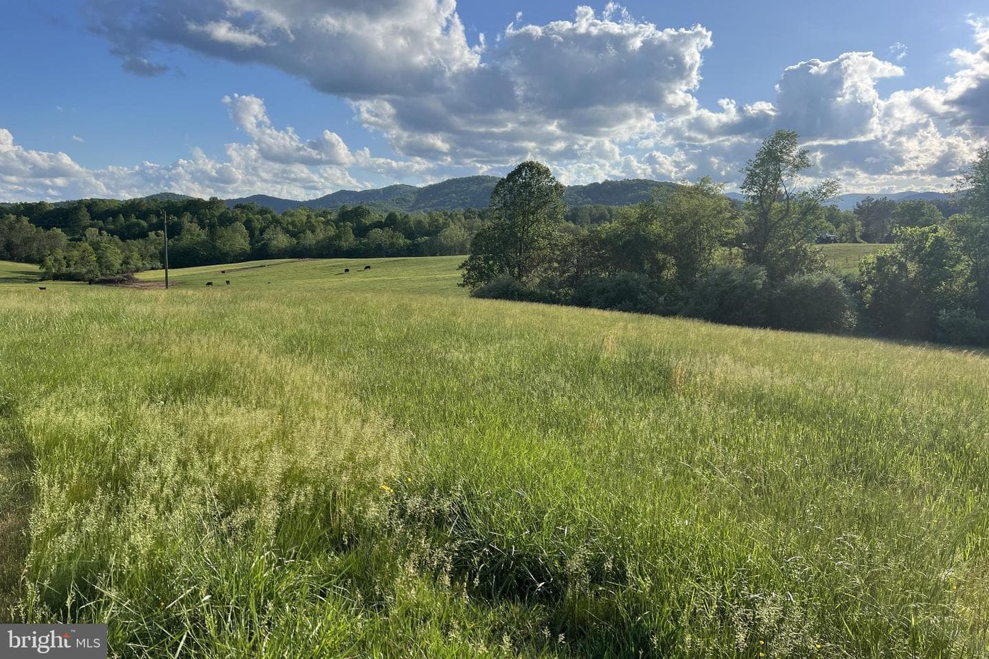 3542 Slate Mills Road photo 30