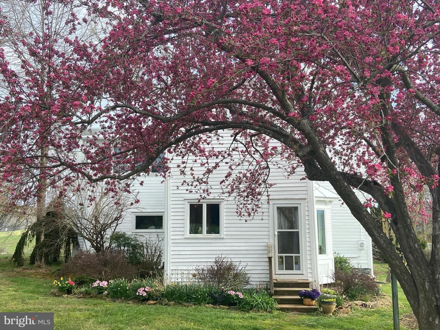 873 Hawlin Road photo 41