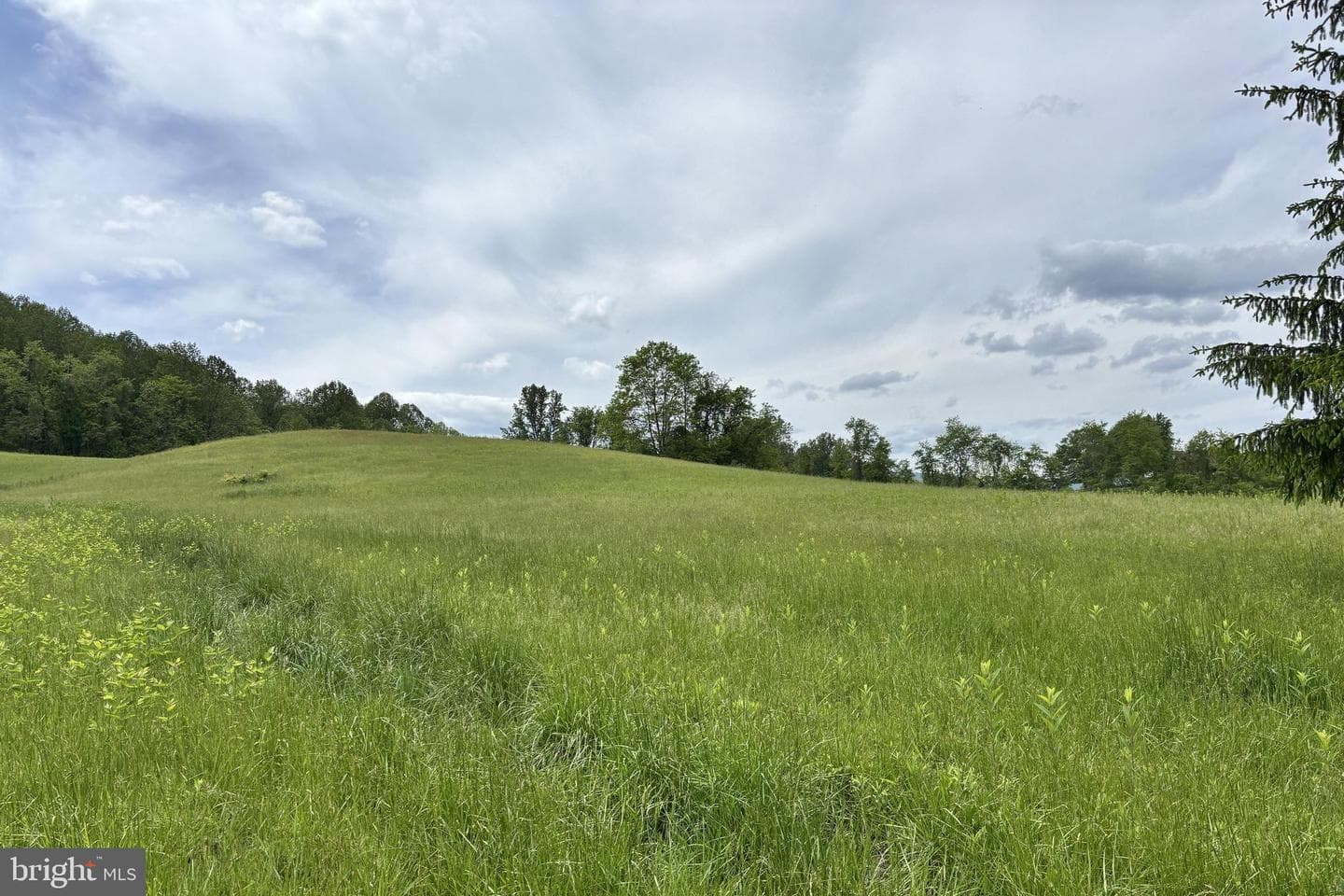 509 Ben Venue Road photo 52