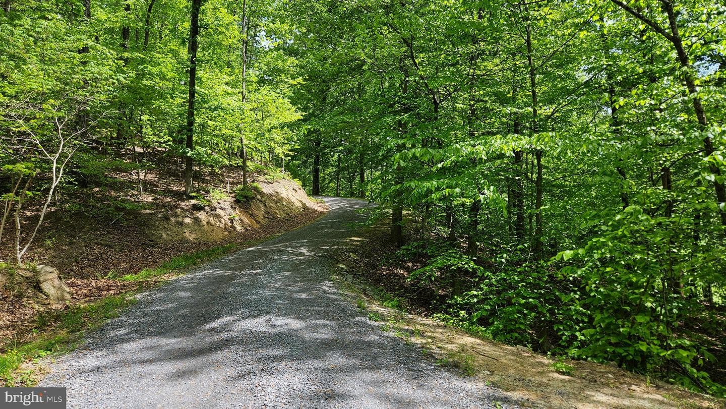 559 Bessie Bell Mountain Road photo 66