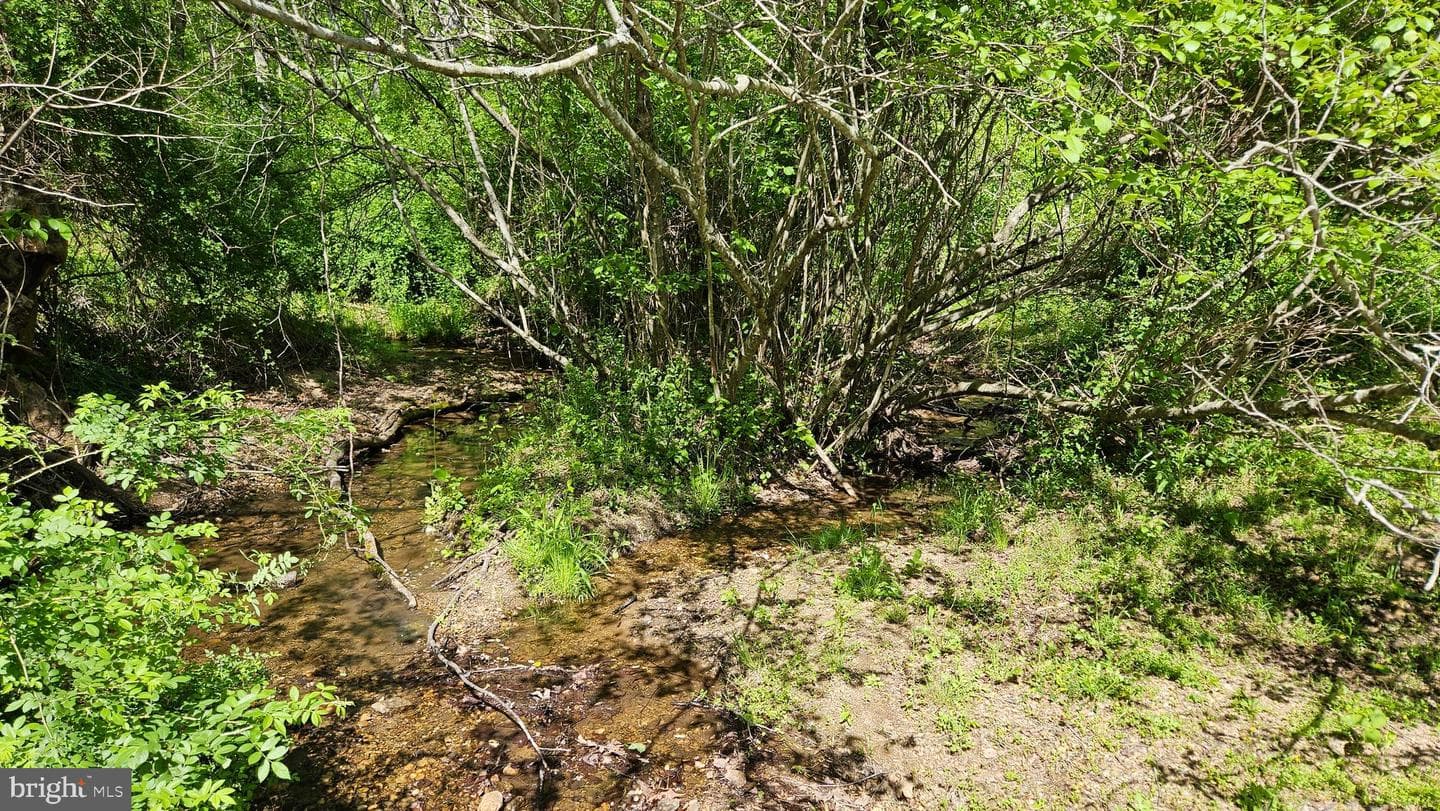 559 Bessie Bell Mountain Road photo 67