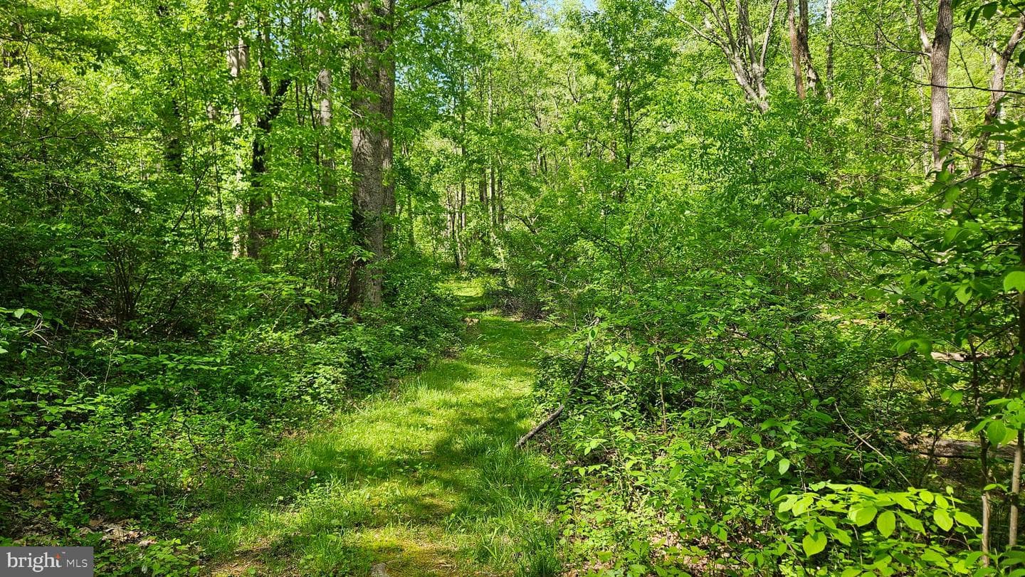 559 Bessie Bell Mountain Road photo 69
