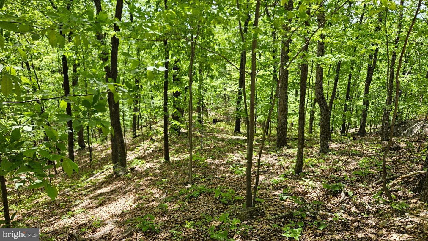 559 Bessie Bell Mountain Road photo 75