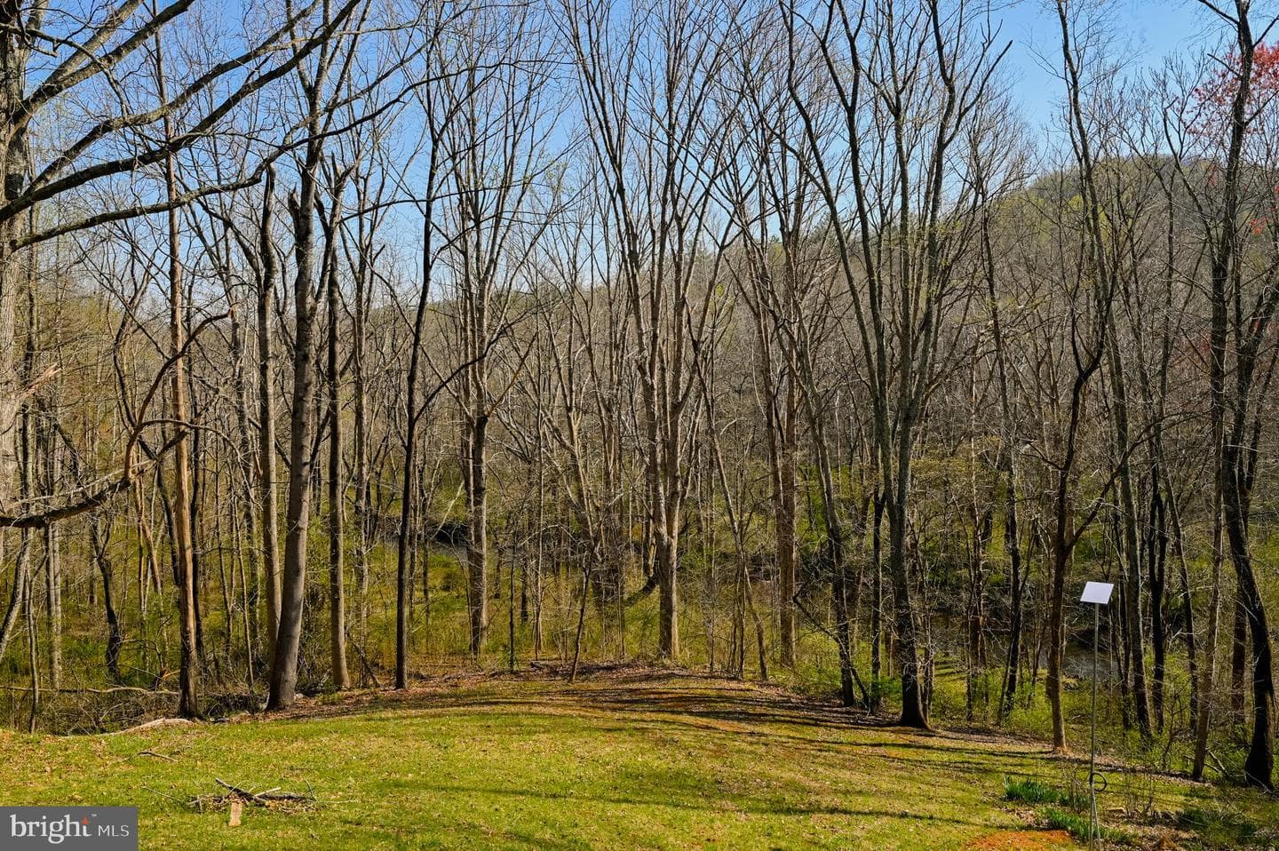 3336 Slate Mills Road photo 24