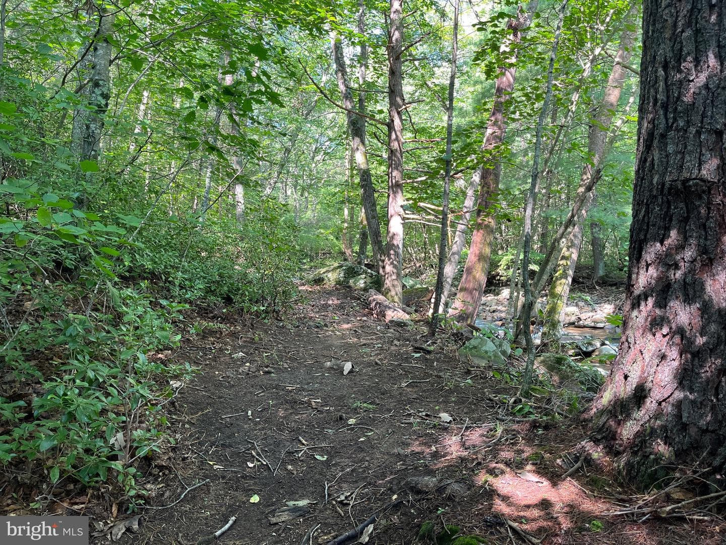 535 Old Hollow Road photo 19
