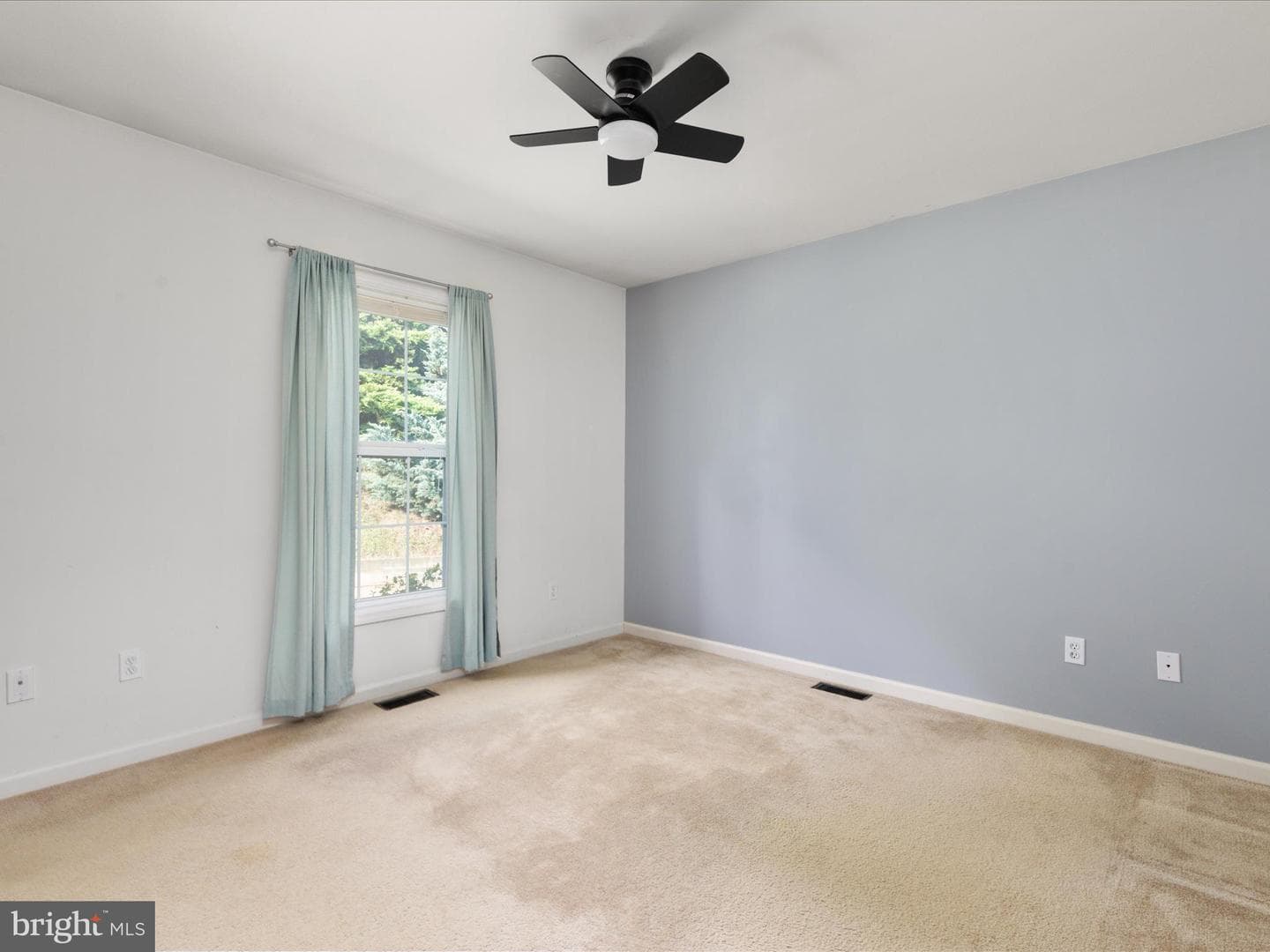 45 Atkins Road photo 18