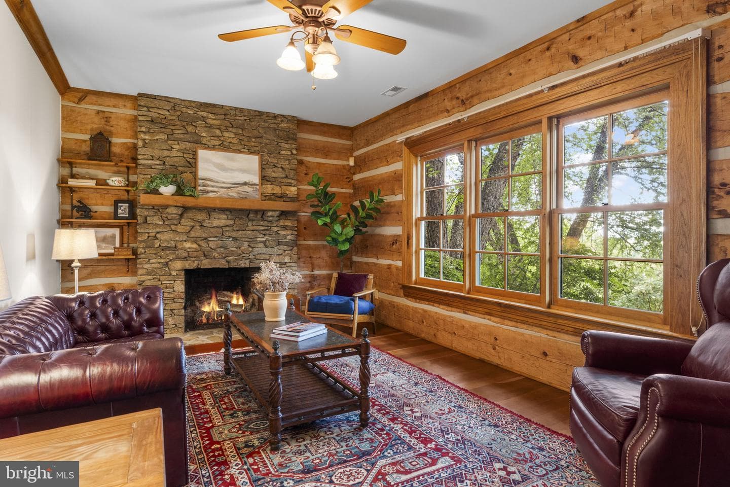 156 Bear Wallow Road photo 49