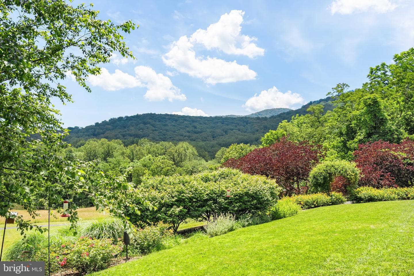 156 Bear Wallow Road photo 58