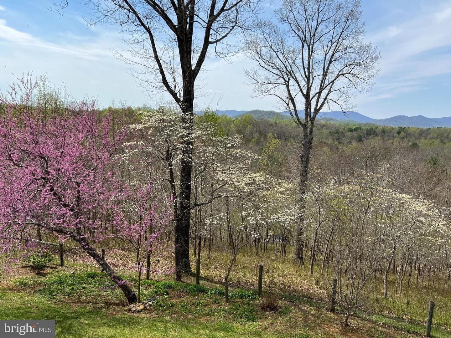 210 Grand View Road photo 55