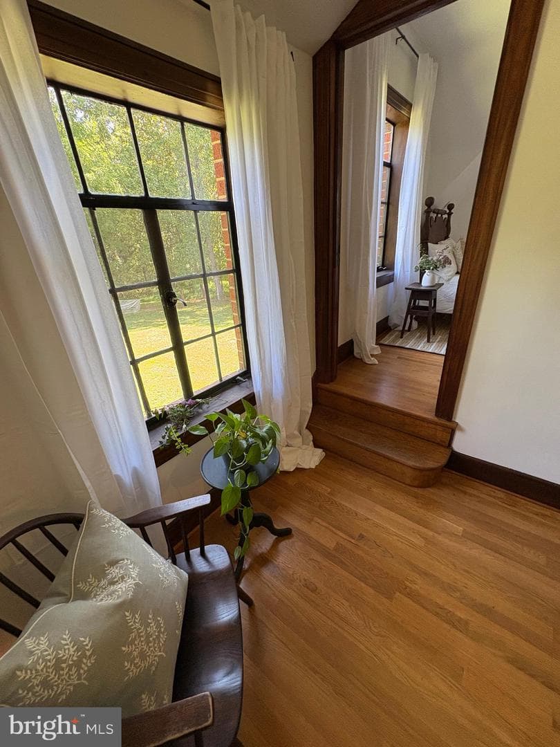 515 Mount Salem Avenue photo 42