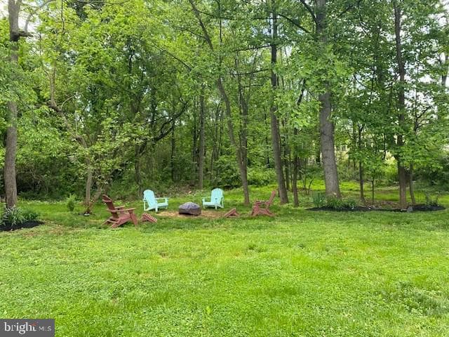 515 Mount Salem Avenue photo 66