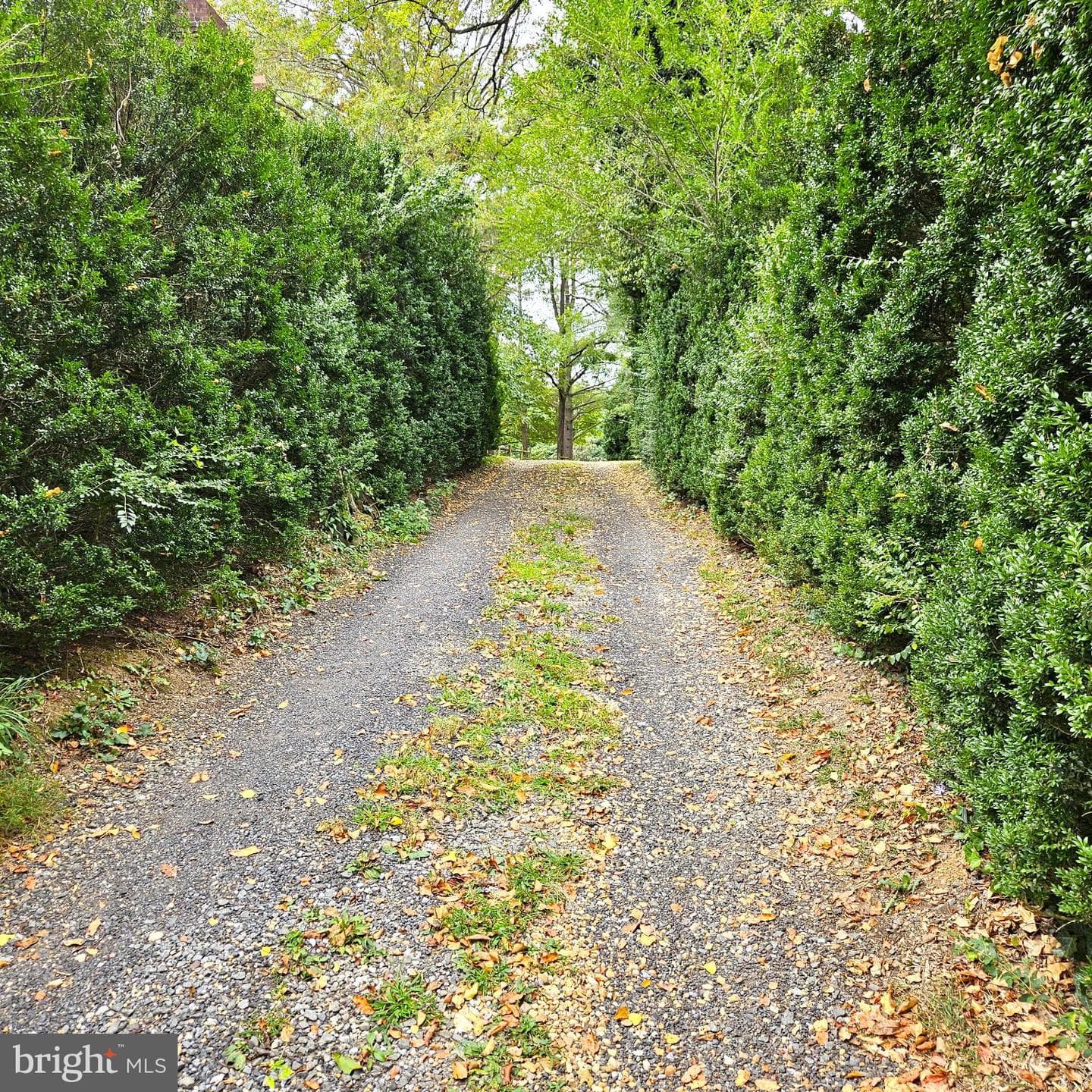 7 Skyline Lane photo 3