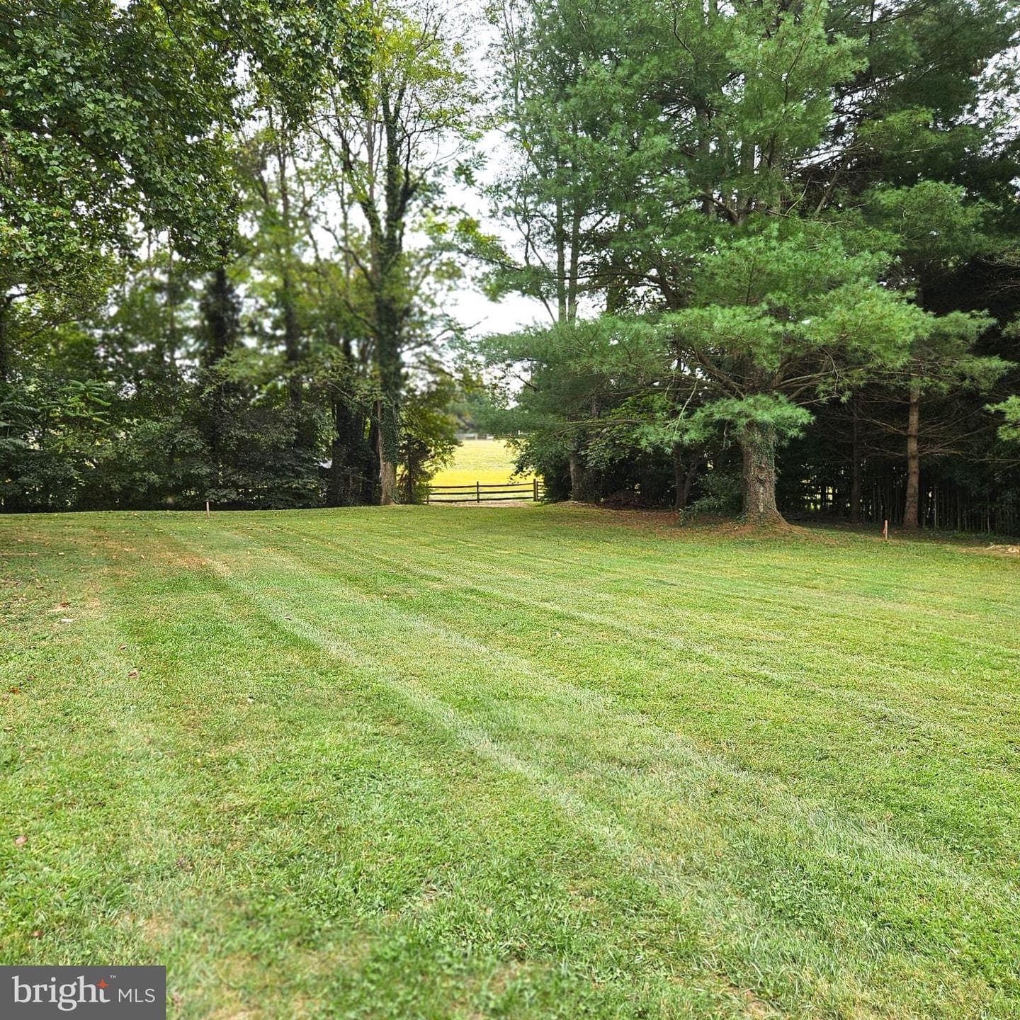 7 Skyline Lane photo 9