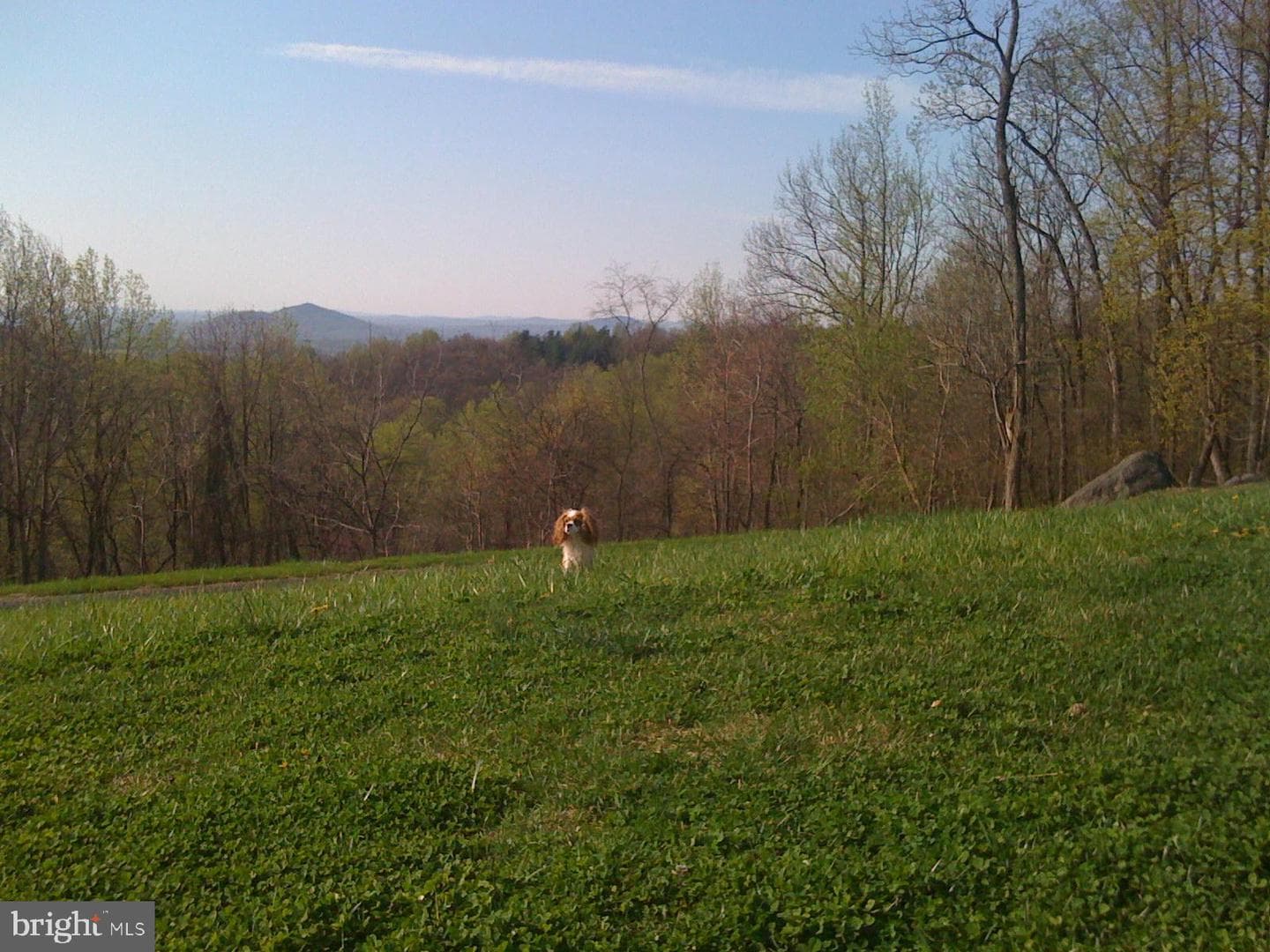 200 Fogg Mountain Lane photo 43