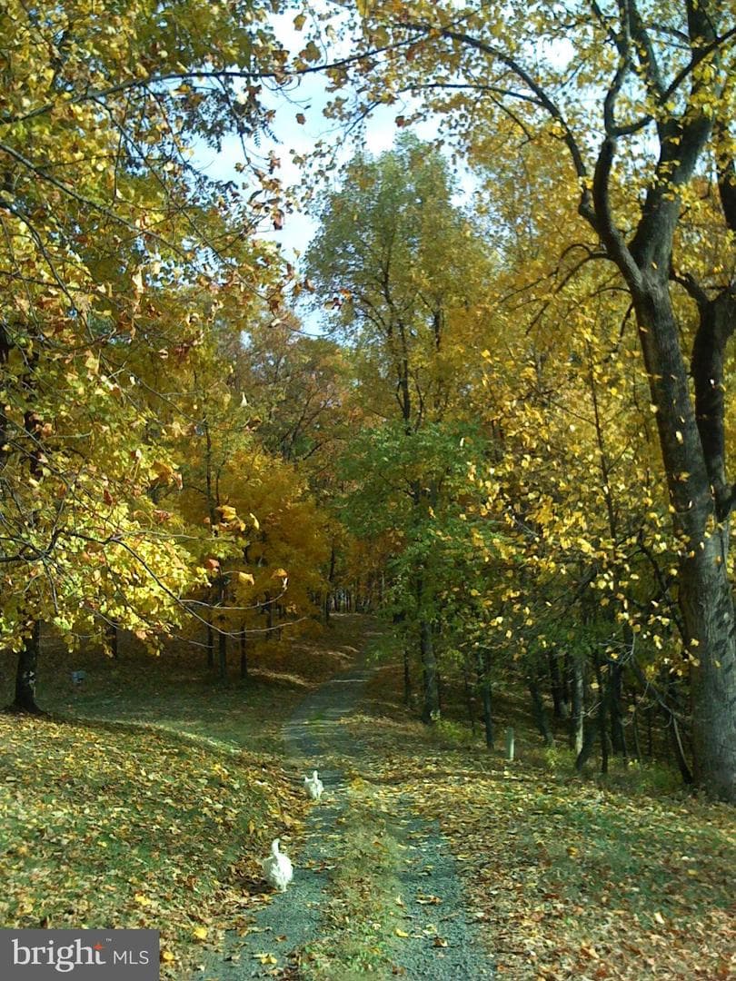 200 Fogg Mountain Lane photo 44