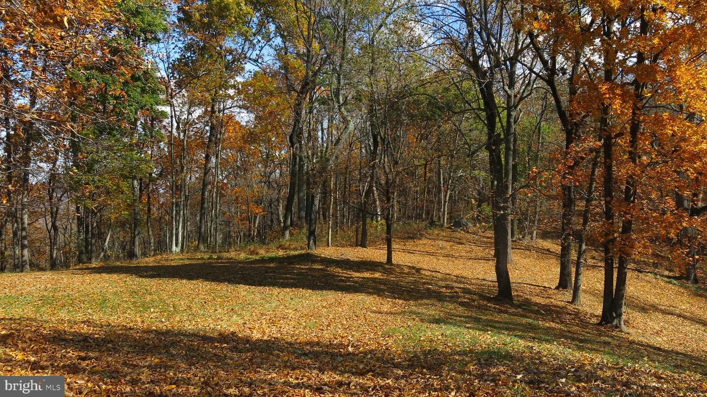 200 Fogg Mountain Lane photo 45