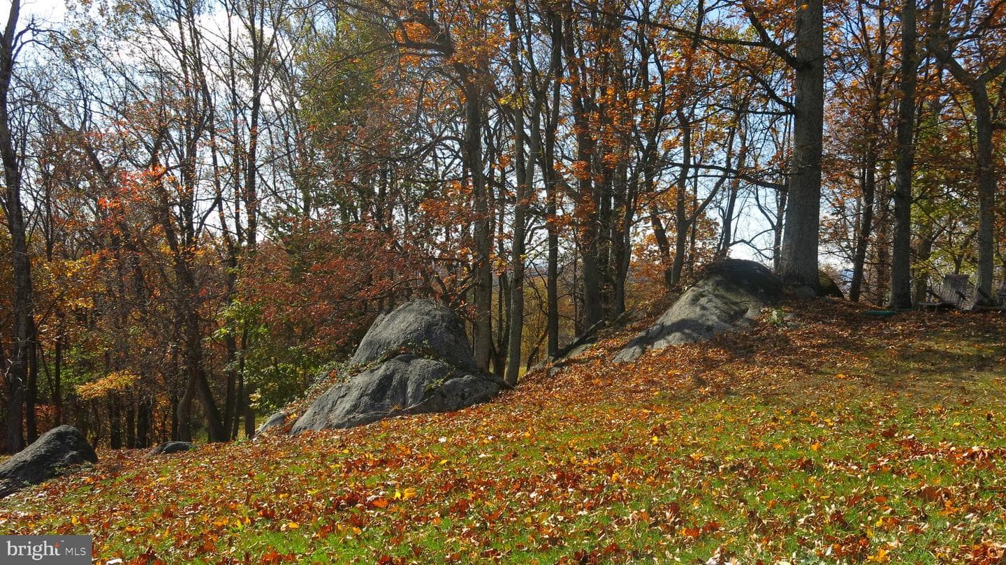 200 Fogg Mountain Lane photo 46